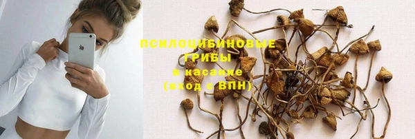 дживик Козловка